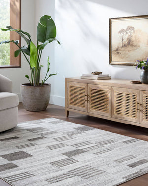 Rison Modern Medium Gray Area Rug