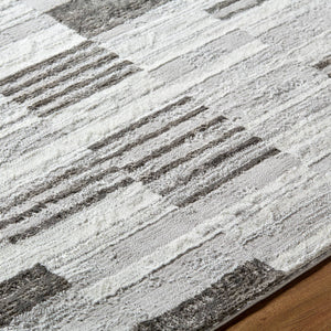 Rison Modern Medium Gray Area Rug