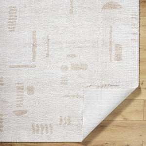 Shareef Modern Beige Washable Area Rug