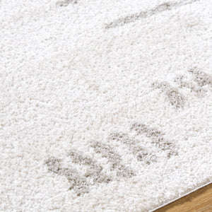 Shareef Modern Medium Gray Washable Area Rug