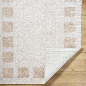 Tameka Modern Beige Washable Area Rug