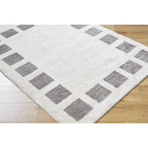 Tameka Modern Charcoal Washable Area Rug