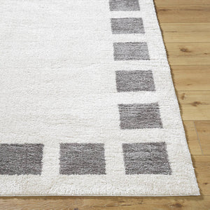 Tameka Modern Charcoal Washable Area Rug