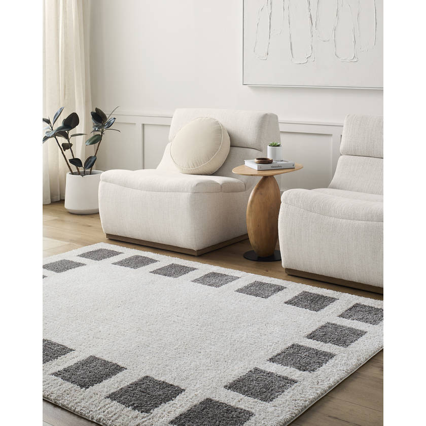 Tameka Modern Charcoal Washable Area Rug