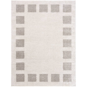Tameka Modern Medium Gray Washable Area Rug