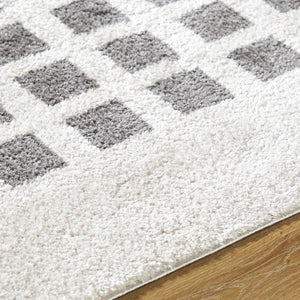 Noam Modern Charcoal Washable Area Rug