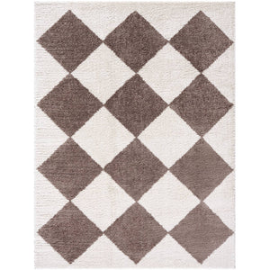 Jason Modern Dark Brown Washable Area Rug