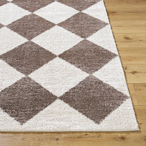 Jason Modern Dark Brown Washable Area Rug