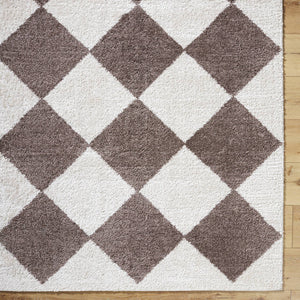 Jason Modern Dark Brown Washable Area Rug
