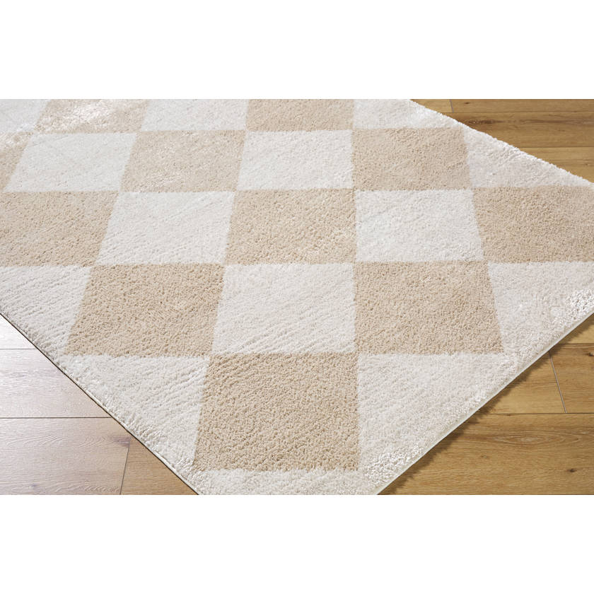 Jason Modern Beige Washable Area Rug