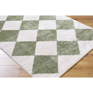 Jason Modern Grass Green Washable Area Rug