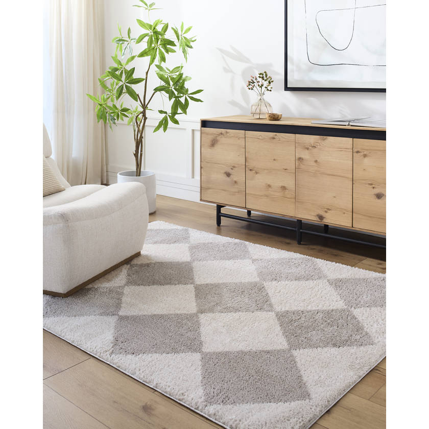 Jason Modern Medium Gray Washable Area Rug