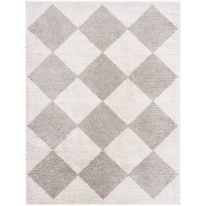 Jason Modern Medium Gray Washable Area Rug