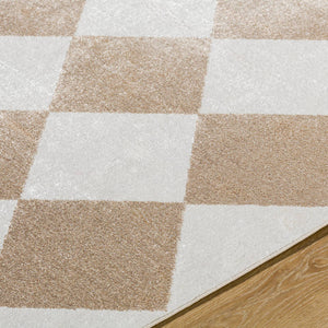 Senior Modern Light Brown Washable Area Rug