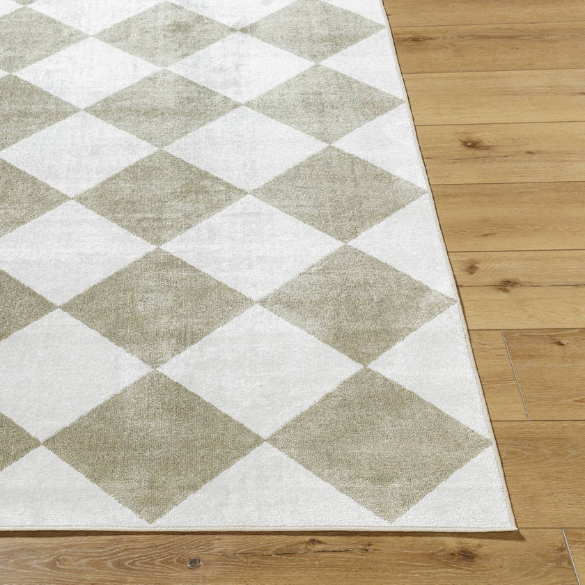Senior Modern Dusty Sage Washable Area Rug