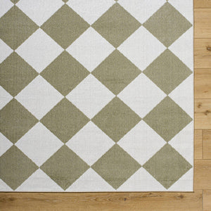 Senior Modern Dusty Sage Washable Area Rug