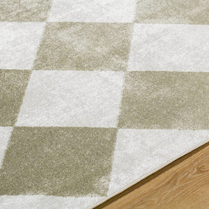 Senior Modern Dusty Sage Washable Area Rug