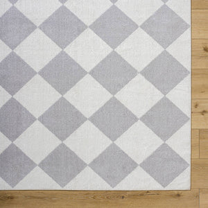 Senior Modern Light Gray Washable Area Rug