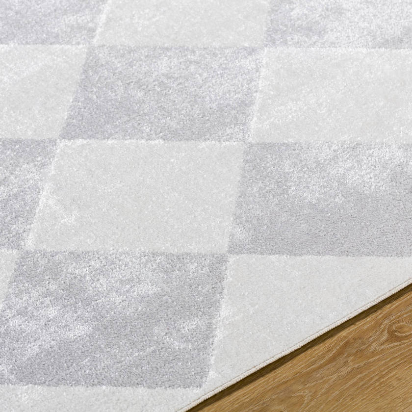 Senior Modern Light Gray Washable Area Rug