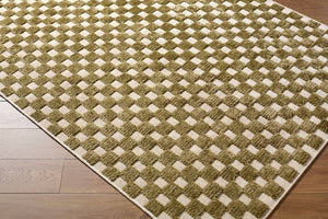 Jozette Modern Brown Washable Area Rug