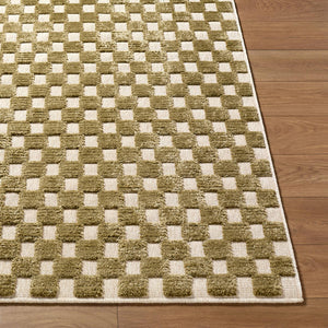 Jozette Modern Brown Washable Area Rug