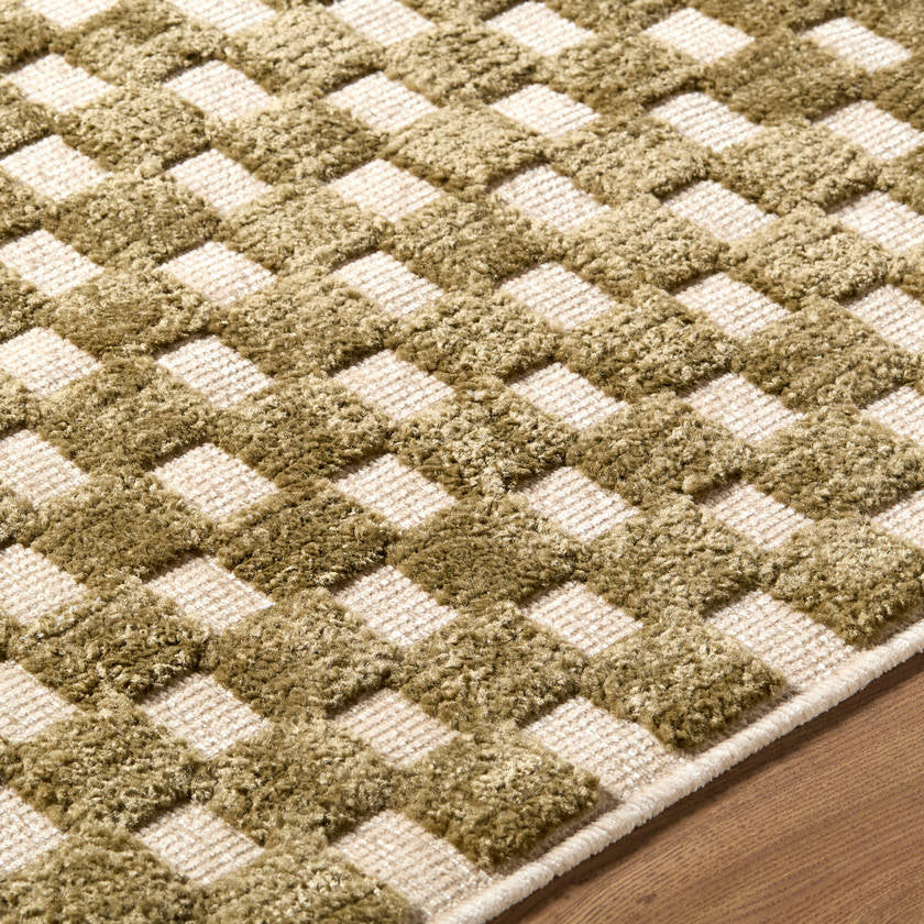 Jozette Modern Brown Washable Area Rug