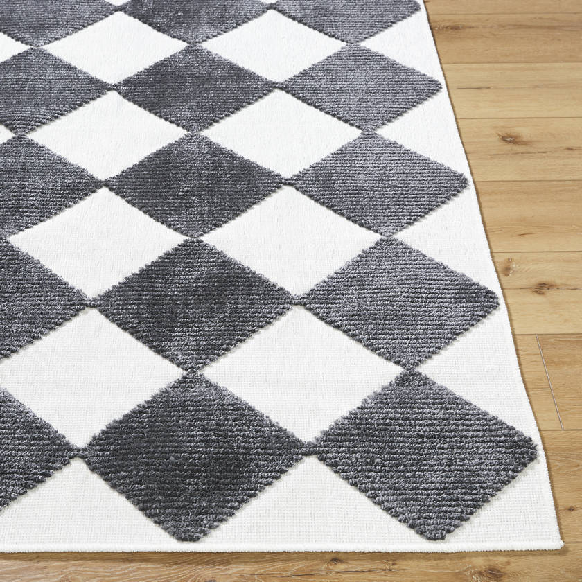 Luanne Modern Charcoal Washable Area Rug