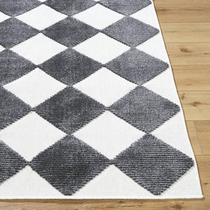 Luanne Modern Charcoal Washable Area Rug