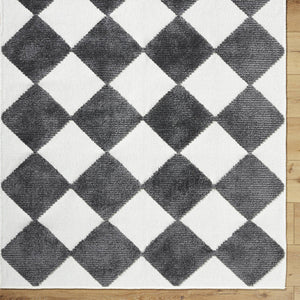 Luanne Modern Charcoal Washable Area Rug
