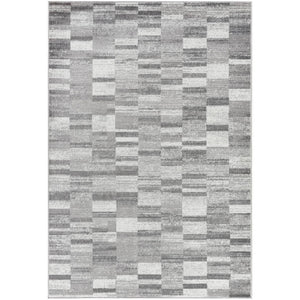Dantrell Modern Light Gray Area Rug