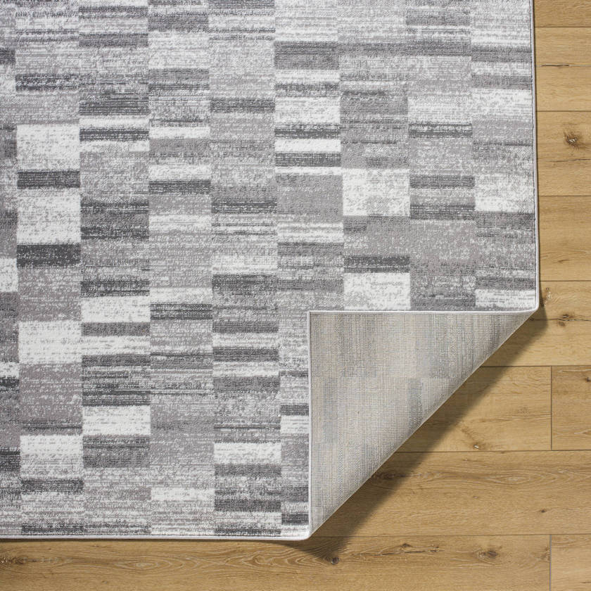 Dantrell Modern Light Gray Area Rug