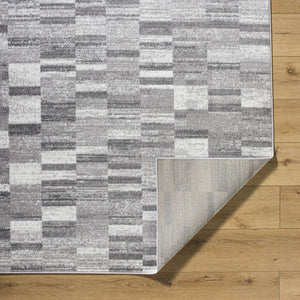 Dantrell Modern Light Gray Area Rug