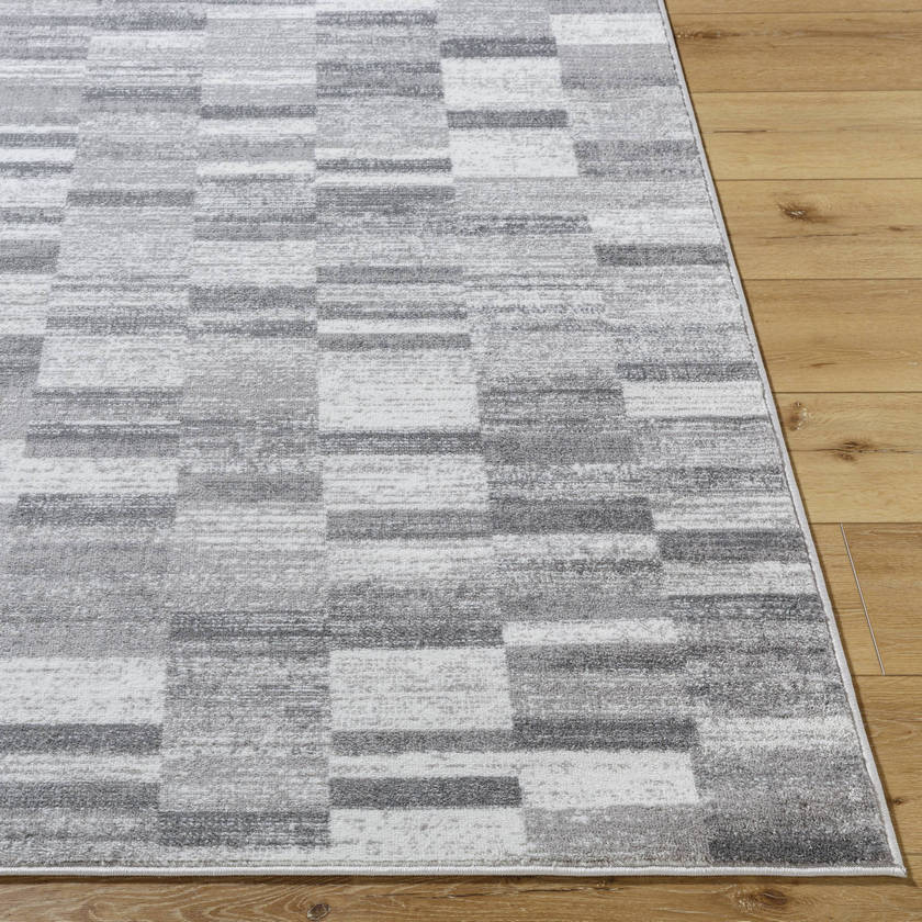 Dantrell Modern Light Gray Area Rug
