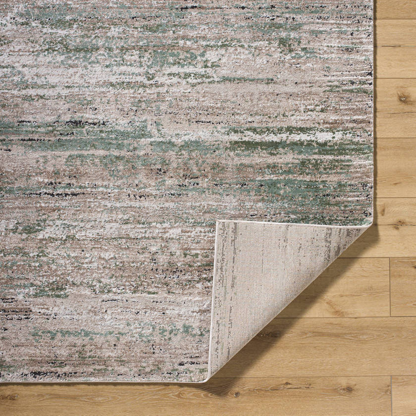 Charita Modern Dusty Sage/Tan Area Rug