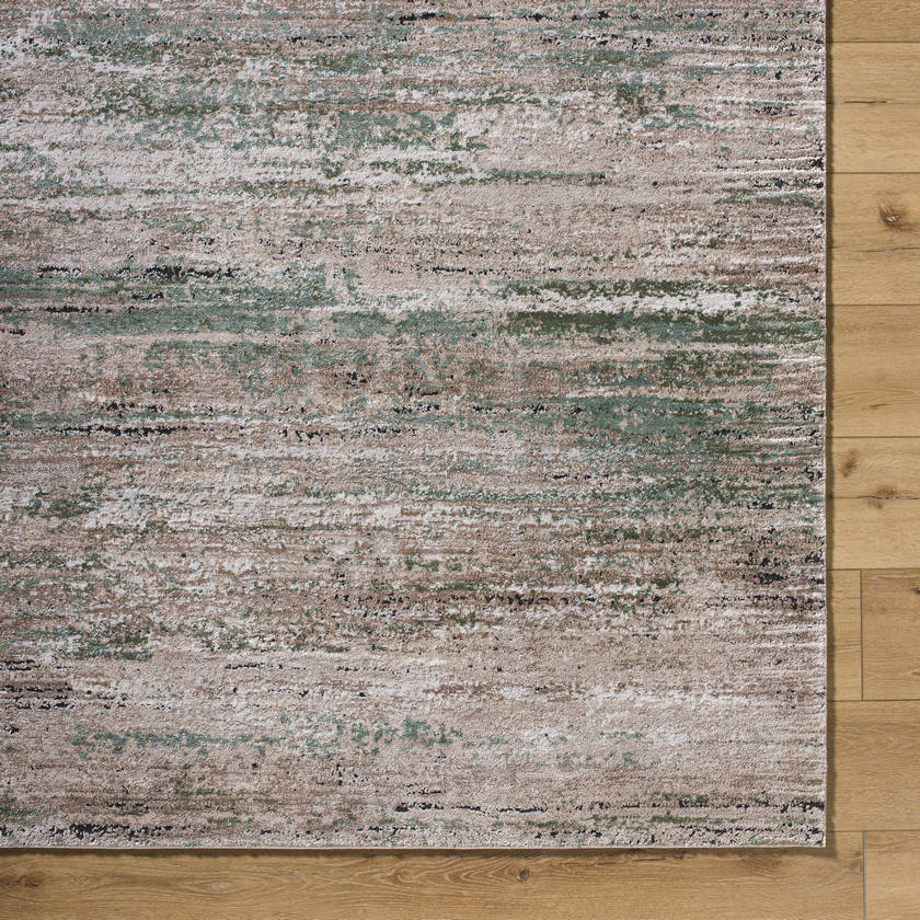 Charita Modern Dusty Sage/Tan Area Rug