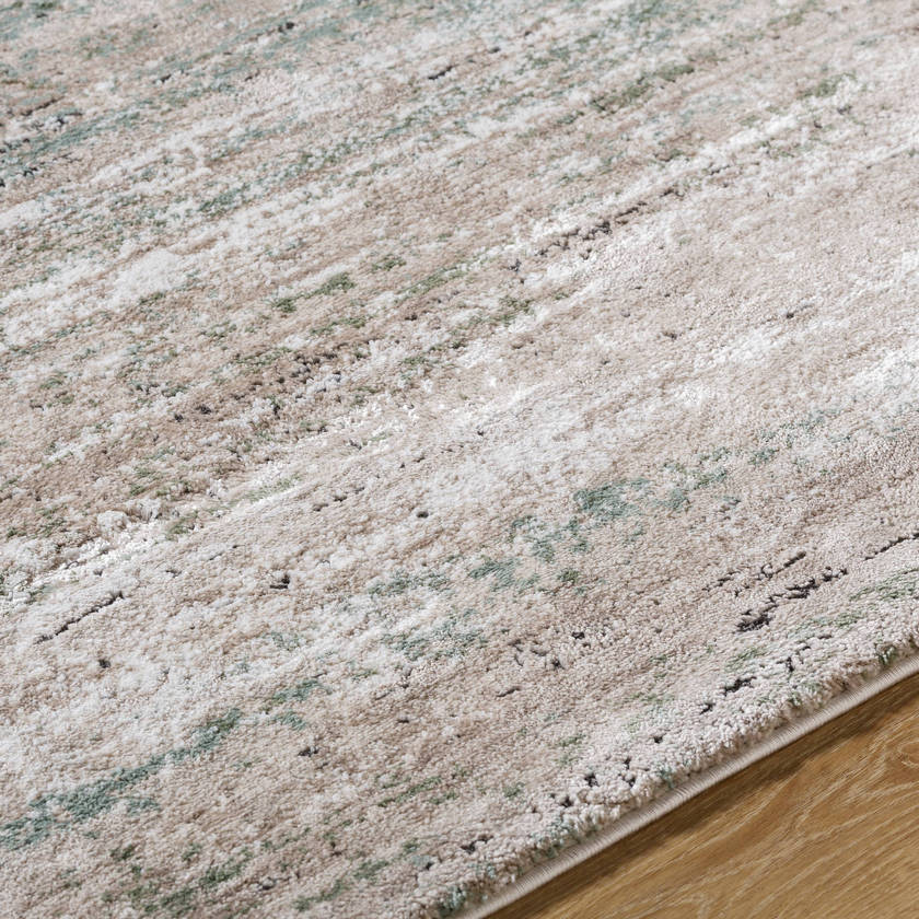 Charita Modern Dusty Sage/Tan Area Rug