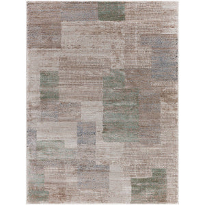 Tyshawn Modern Dusty Sage Area Rug