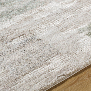 Tyshawn Modern Dusty Sage Area Rug