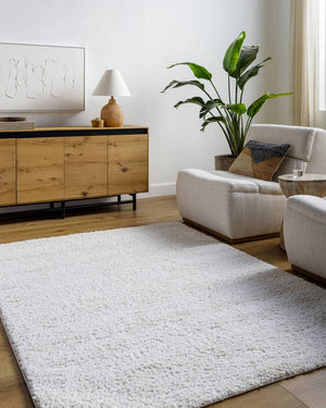 Dereka Modern Light Silver Area Rug
