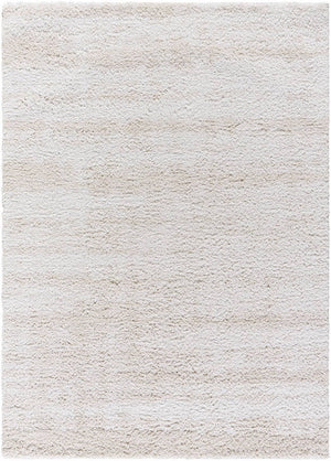 Dereka Modern Light Silver Area Rug