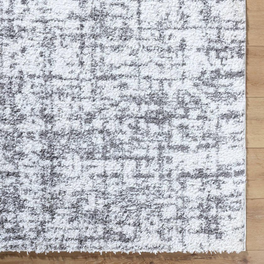 Lekesha Modern Light Gray Area Rug