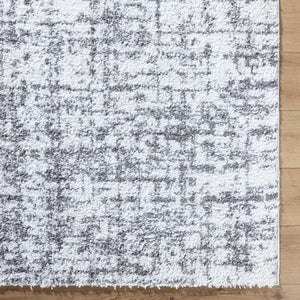 Lekesha Modern Light Gray Area Rug