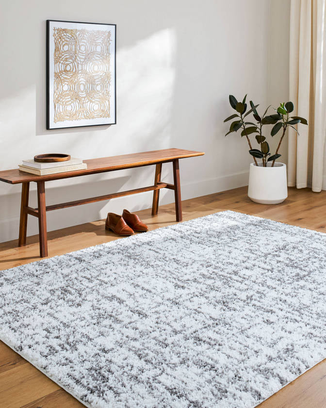 Lekesha Modern Light Gray Area Rug