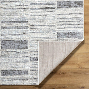 Aldwin Modern Light Gray Area Rug