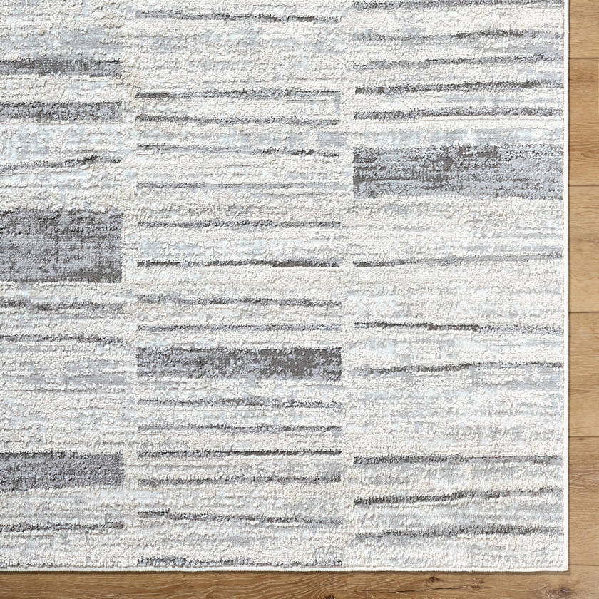 Aldwin Modern Light Gray Area Rug