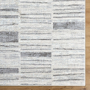 Aldwin Modern Light Gray Area Rug