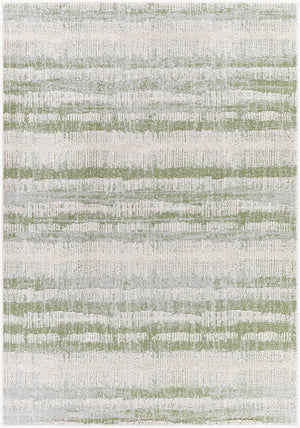 Kessa Modern Sage Area Rug