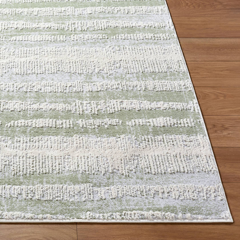 Kessa Modern Sage Area Rug