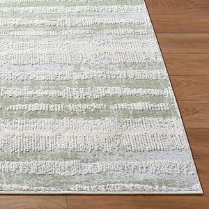 Kessa Modern Sage Area Rug