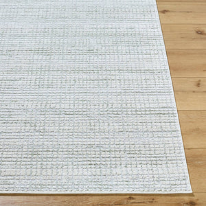 Hasson Modern Sage/Light Beige Area Rug
